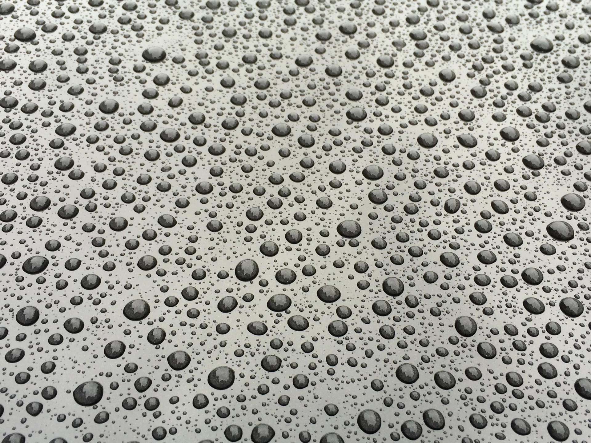 Wassertropfen auf einer wasserabweisenden Oberfläche